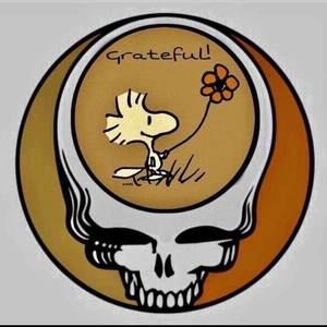 Meet your Posher, Pattie